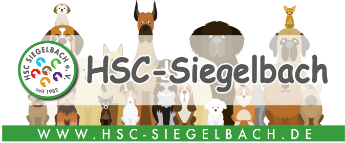 (c) Hsc-siegelbach.de